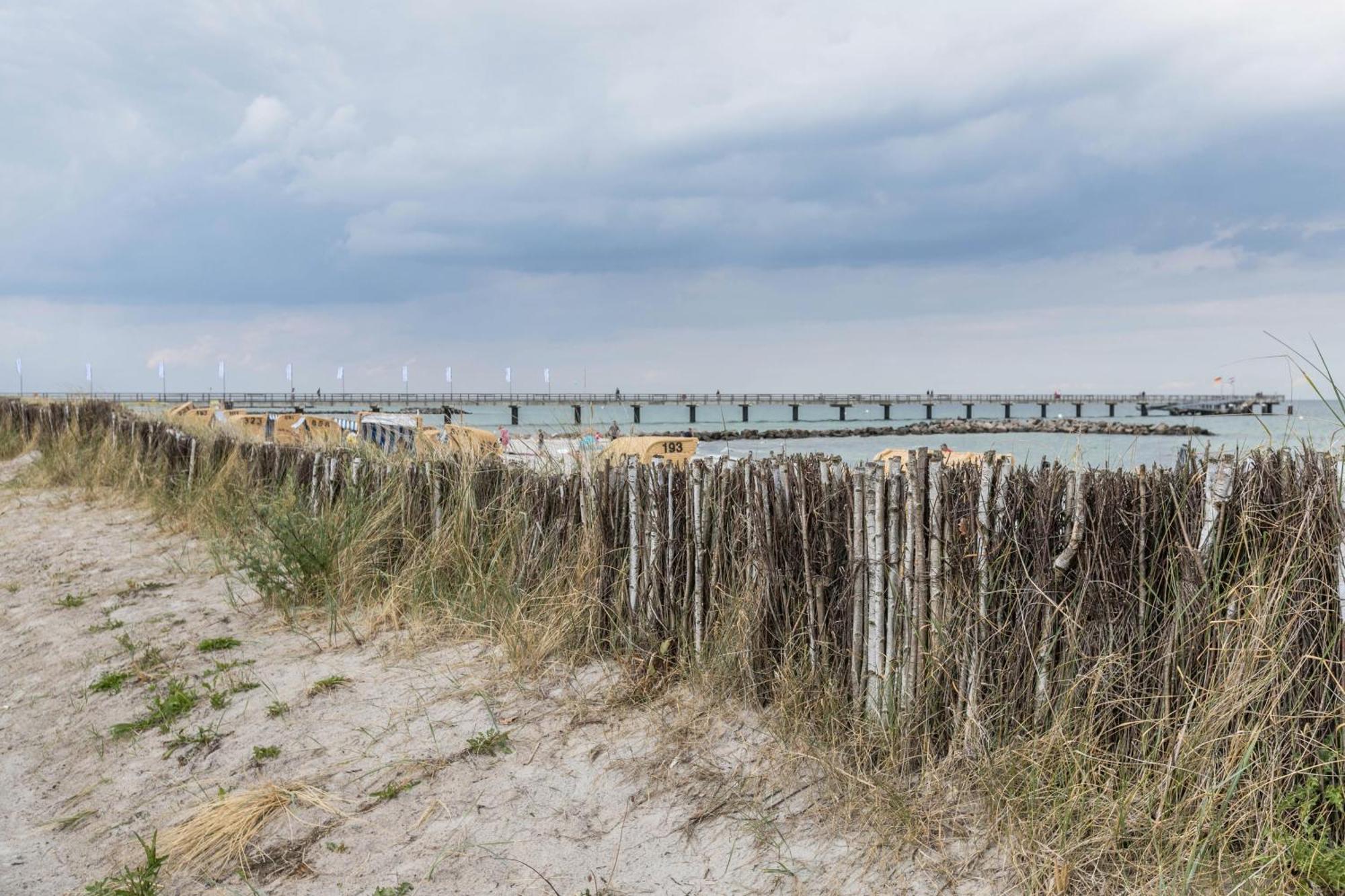 Treibholz - Feriendomizil Ostsee Schonberger Strand Extérieur photo
